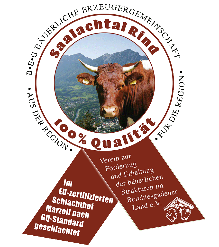 Logo Saalachtal
